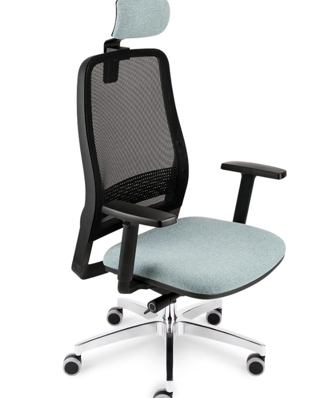 MOON Y - S1 – Z- Premier